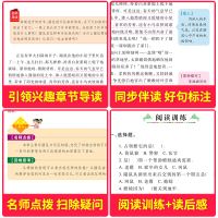 彩图彩印]柳林风声正版书 小学生青少年版课外书必读三四五六年级课外阅读书籍儿童文学9-10-12岁书籍3-4-5-6年级