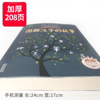 图解汉字的故事 正版插图有故事的汉字全套二年级经典小学生课外书必读阅读书籍三四五六年级与识字老师推荐国学启蒙说文解字儿童