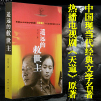 遥远的救世主 正版书豆豆原著原版无未删减版作品集全套热播电视剧《天道》中国现当代经典文学小说名著书籍书排行榜2005原版