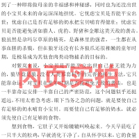 狼王梦正版沈石溪课外书 六年级2019版全套书籍四年级五年级浙江少年儿童出版社中国四五6年级全集完整版5年级原版动物小说