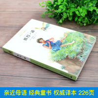 正版 彼得·潘 亲近母语经典童书权威译本 三四五六年级小学生课外阅读书籍9-11-12岁儿童外国文学故事书广西师范大学出