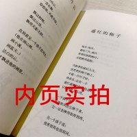 让太阳长上翅膀 三年级正版金波著江苏凤凰少年儿童出版社 让太阳长出翅膀 张上 小学生课外书阅读书籍儿童读物7-8-10书