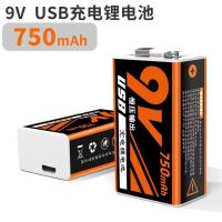 9v可电池1000mAh无线麦克风仪器仪表万用表玩具通用9VUSB充充电池 9V 750毫安+(送数据线)