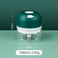 捣蒜器绞肉机料理机搅拌机全自动多功能家用电动小型打碎机 小号