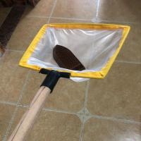 木柄抄网120目特密网兜过滤捞网垃圾泡沫鱼虾小虫捞网 厂家直销 木柄长 40cm 口直径27cm