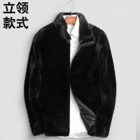 貂皮大衣男士皮草外套男冬新款水貂外套男装整貂绒大衣海宁工艺 黑色(立领) S [100斤以下]