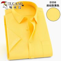 啄木鸟夏季短袖男士衬衫时尚休闲高档大码男装青中老年大码男装衣 ZMN-[D598]高档短袖 M -38适合[80-115