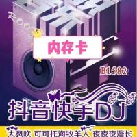 新歌劲爆流行DJ 可可托海牧羊人兄弟想你了 音频/内存卡/u盘 128MB音频(内存卡)