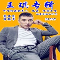 王琪专辑U盘可可托海的牧羊人 送亲 万爱千恩 站着等你三千年音频 128MB1537内存卡85首