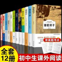 12册初中生推荐名著中学生阅读书爱看的课外书骆驼祥子海底两万里 初中名著全套[12本]