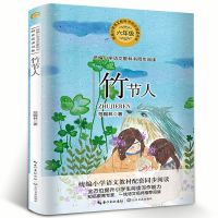 竹节人书 范锡林六年级爸爸的计划/桥/必读同步阅读书系 竹节人