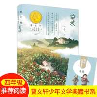 菊坡书正版曹文轩系列少年文学典藏书系小学生四五六年级课外阅读 默认