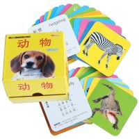 婴幼儿童看图识物早教书宝宝撕不烂益智启蒙认知卡片认字水果动物 动物卡片