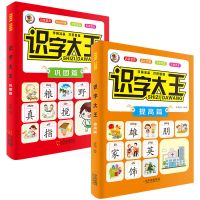 儿童认字书看图识字卡片书籍2-3-6岁幼儿园学龄前宝宝幼儿早教书 识字大王2本760字(提高+巩固)