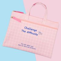 学生手提袋拎书袋韩版女帆布包儿童补习班女童男童试卷初中加厚大 女生款[北岛南端]粉色