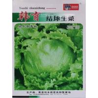 秋冬热卖奶油生菜蔬菜种子四季阳台室内盆栽植物种植室外菜种子籽 结球生菜 精选生菜种子1000粒