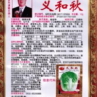 东北春秋四季饭包白菜种子大绿叶家庭菜园艺阳台盆栽蔬菜种子20克 义和秋白菜种子原装10克约2000粒