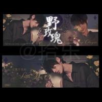 时代少年团丁程鑫同款双面手幅收藏礼物演唱会应援手持手幅[10月2日发完] 丁程鑫 黑色野玫瑰