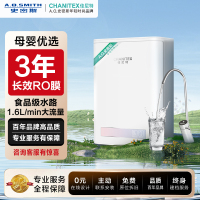 [自助换芯]A.O.史密斯佳尼特1.6/min大流量净水器 1600D