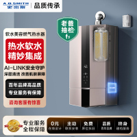 A.O.史密斯16升精钢燃气热水器JSQ31-RSCD