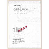 全新正版 朗文.外研社 新概念英语2 新概念英语第二册实践与进步学习套装 学生用书+录音带外语教学与研究出版社含3盘录音