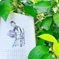 俗世奇人 冯骥才正版原著 人民文学出版张祖庆推荐小学五六七八九年级初一二三中生阅读当代文学随笔天津民间人物传记故事新华书