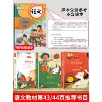 全套4册快乐读书吧三年级上册稻草人书叶圣陶正版格林童话完整版安徒生童话故事书全集原版3年级必读课外小学生版儿童全套阅读书