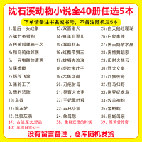 [任选五本]狼王梦 沈石溪动物小说全集正版经典全系列儿童文学全套装 斑羚飞渡 后一头战象 第七条猎狗四五六年级阅读书籍