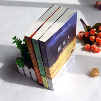 追风筝的人摆渡人偷影子的人3本正版 荣获多项图书大奖书排行榜 人性救赎之作 心灵治愈系小说 外国文学读物 励志丛书