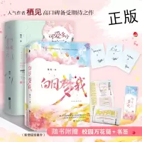正版 白日梦我+可爱多少钱一斤 共2套 栖见著 晋江青春都市校园爱情小说 言情小说 女 书籍 书