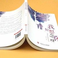 我好想念你呀刘放著励志书籍正能量小说心灵鸡汤修养青春文学治愈系书籍生活需要仪式感暖心正版