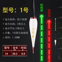 高灵敏重力感应电子漂超亮夜钓浮漂咬钩变色鱼漂阴天尾鲫鱼夜光漂 加珠尾1号[吃铅0.9] [不变色款]1支装+1粒电池