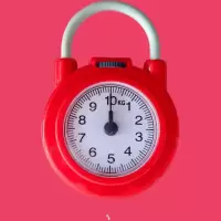 家用弹簧秤便捷试多功能10kg手提买菜家用精准秤小商贩称重便捷秤 红色