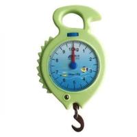 香山牌精度电子称家用10kg弹簧秤挂钩手提秤便携式买菜迷你称重高 浅绿色(10kg)