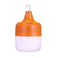 停电应急家用usb充电灯泡超亮多功能防水夜市摆摊灯户外充电挂灯 40W 三挡调光 送充电线 一枝独秀[1个]