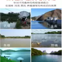 小旋风重窝颗粒鱼饵料青鱼草鱼窝料黑坑钓鱼饵料大物通杀赛道战青 橙色水密桃味 480克装 送皮筋小药