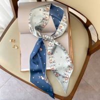 ins碎花夏季飘带韩国丝巾女窄长条多功能发带百搭装饰丝带小领巾 蓝色（波点羚羊）-斜角丝巾