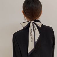 新款复古法式发带小丝巾女春秋洋气百搭小领巾配衬衫绑包小围巾 为爱痴迷[6*100CM] 多功能双层领巾