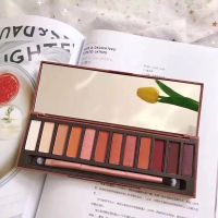 12色衰败城市西柚色大地色南瓜色哑光珠光眼影盘 火焰色+刷子