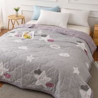 夏凉被双人空调被夏天薄被子单人学生宿舍可机洗夏被薄款春秋被芯 星云灰[A级夏被] 50*70cm[随机花型 尺寸很小]
