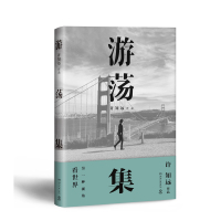 [姚晨推荐]游荡集 许知远暌违六年全新随笔游记 另一种视角看世界 书排行榜 正版书籍