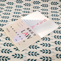 正版 2020新 数据法学 何渊 数据法律关系 数据流动过程 数据应用场景 数据应用实践法律规制 多维视角解析数据法 北