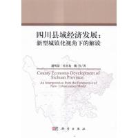 四川县域经济发展新型城镇化视角下的解读 城市与市政经济 书籍