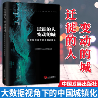 迁徙的人 变动的城:大数据视角下的中国城镇化(2019)中国发展出版社 大数据下新型城镇化建设书籍