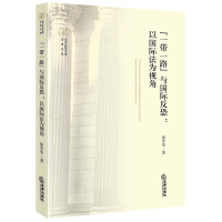 2019新 一带一路与国际反恐 以国际法为视角 徐军华 国际网络反恐和海上反恐国际反恐合作机制 法律书籍 法律出版社
