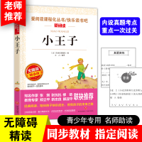 小王子书正版原版完整版原著中小学生三四五六七年级课外书必读老师推荐阅读世界名著经典文学书青少年版外国小说少儿读物
