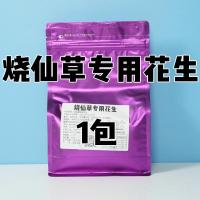 花生烧仙草专用奶茶店商用小包熟花生米奶茶非花生碎冰粉原味脱皮 烧仙草专用*1份