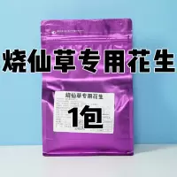 花生烧仙草专用奶茶店商用小包熟花生米奶茶非花生碎冰粉原味脱皮 烧仙草专用*1份