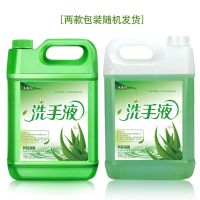 大桶十斤洗手液芦荟味去油洁净保湿抑菌泡沫丰富家用 芦荟