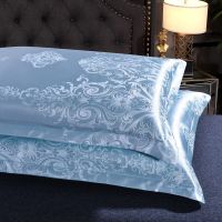 单人枕套提花枕套成人枕头套学生宿舍74*48cm丝缎枕头套一对2只装 赛落华庭 冰蓝 （枕套一只）48*74